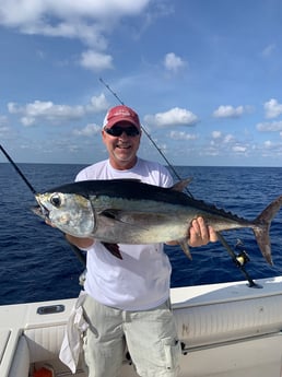 Blackfin Tuna fishing in Sarasota, Florida