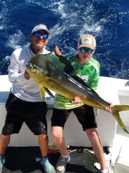 Mahi Mahi / Dorado fishing in Key West, Florida