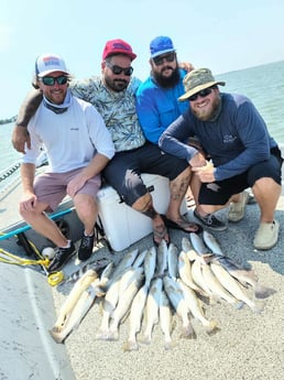 Black Drum, Redfish, Speckled Trout / Spotted Seatrout fishing in Galveston, Texas