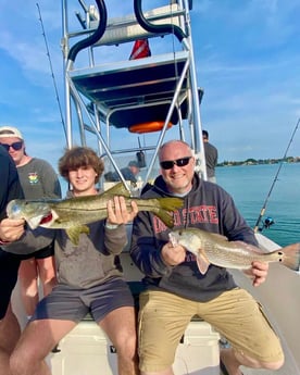 Snook fishing in Sarasota, Florida