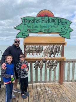 Black Drum, Sheepshead Fishing in South Padre Island, Texas