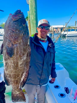 Black Grouper fishing in Key West, Florida