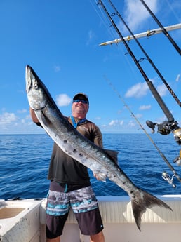 Barracuda fishing in Clearwater, Florida