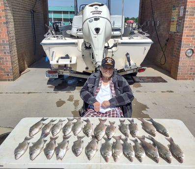 Striped Bass fishing in Runaway Bay, Texas