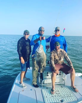 Tripletail fishing in Matagorda, Texas