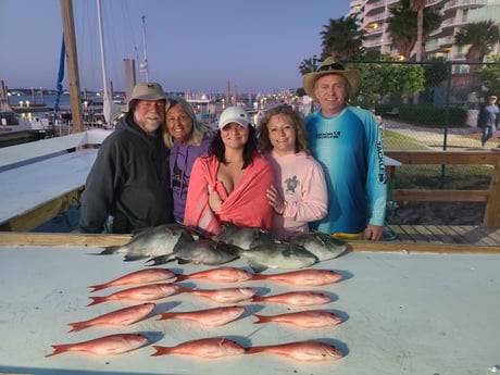 Triggerfish fishing in Orange Beach, Alabama