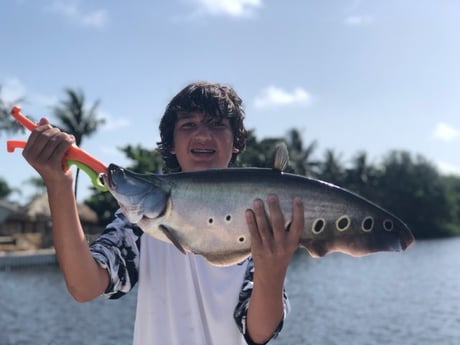 Fishing in Delray Beach, Florida