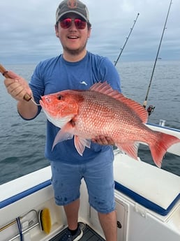 Red Snapper Fishing in Destin, Florida