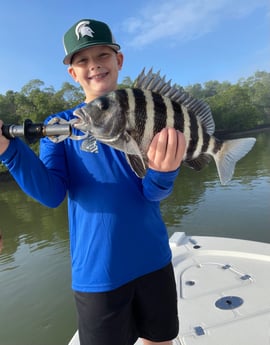 Sheepshead Fishing in Fort Myers, Florida