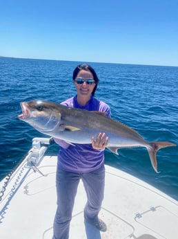 Amberjack fishing in Panama City, Florida