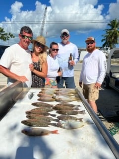 Lane Snapper, Mangrove Snapper, Yellowtail Snapper Fishing in Marathon, Florida