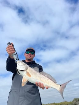 Redfish Fishing in Rockport, Texas