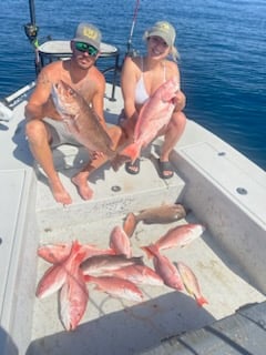 Mangrove Snapper, Red Snapper Fishing in Shell Beach, Louisiana