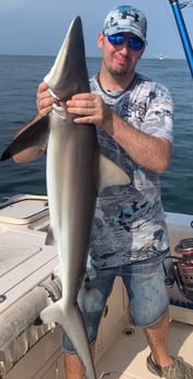 Blacktip Shark fishing in Galveston, Texas