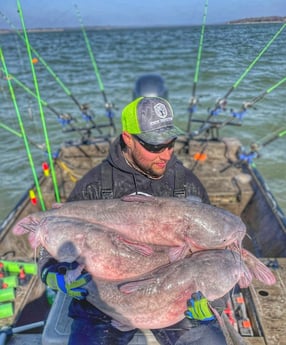 Blue Catfish fishing in Dallas, Texas