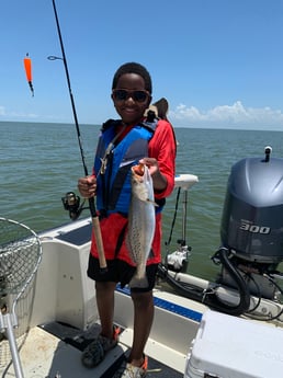 Speckled Trout / Spotted Seatrout fishing in Galveston, Texas