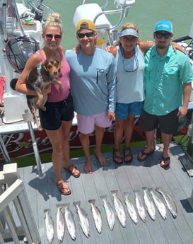 Speckled Trout / Spotted Seatrout fishing in South Padre Islands, Texas