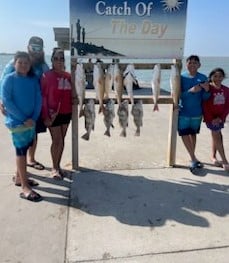 Black Drum, Redfish Fishing in Rockport, Texas