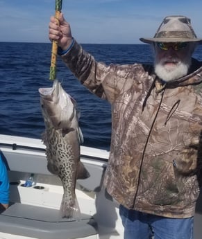 Gag Grouper fishing in Destin, Florida