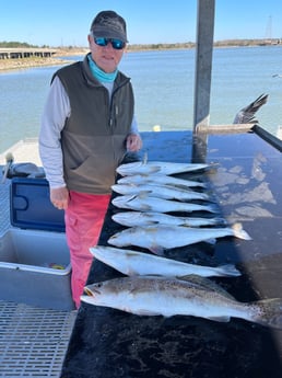 Speckled Trout Fishing in Galveston, Texas