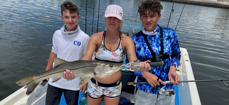 Snook fishing in Tampa, Florida