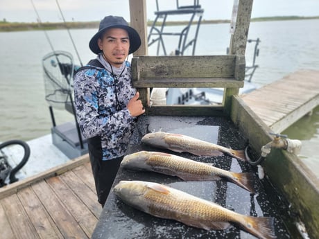 Redfish Fishing in South Padre Island, Texas