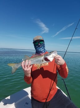 Snook fishing in Islamorada, Florida