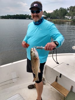 Speckled Trout / Spotted Seatrout fishing in Santa Rosa Beach, Florida