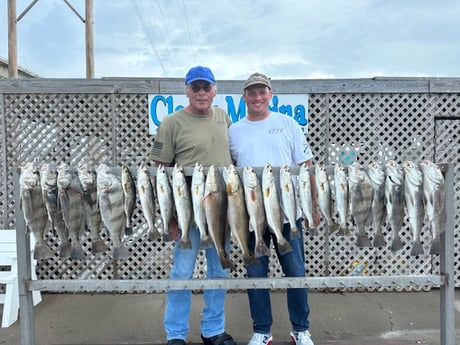 Black Drum, Redfish, Speckled Trout Fishing in Corpus Christi, Texas