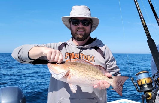 Red Snapper fishing in Panama City, Florida