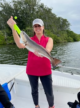 Redfish Fishing in Tarpon Springs, Florida