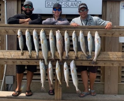 Speckled Trout / Spotted Seatrout fishing in Corpus Christi, Texas