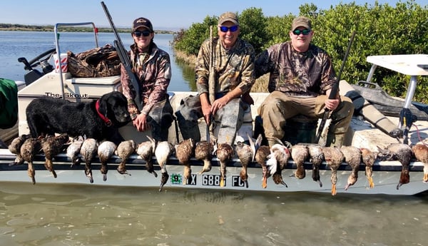 Canvasback, Redhead Fishing in Rio Hondo, Texas