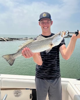 Speckled Trout / Spotted Seatrout fishing in Galveston, Texas