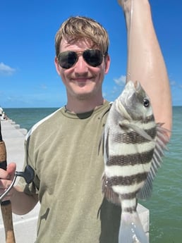 Fishing in Sarasota, Florida