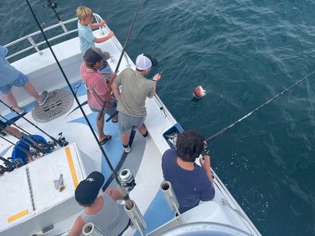 Red Snapper Fishing in Orange Beach, Alabama