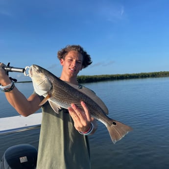 Redfish Fishing in New Smyrna Beach, Florida