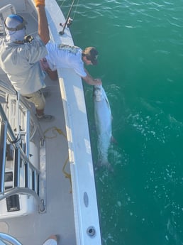 Tarpon fishing in Naples, Florida