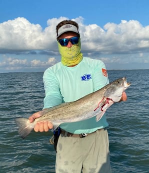 Speckled Trout / Spotted Seatrout fishing in Galveston, Texas