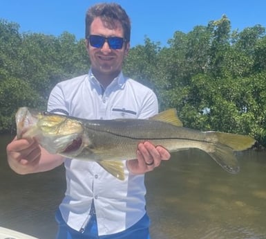 Snook Fishing in Tampa, Florida