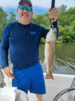 Redfish fishing in St. Petersburg, Florida