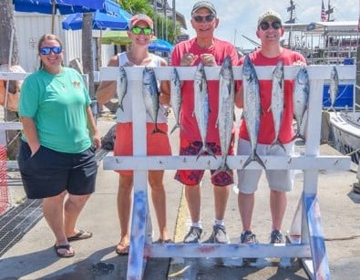 Little Tunny / False Albacore, Spanish Mackerel fishing in Panama City Beach, Florida