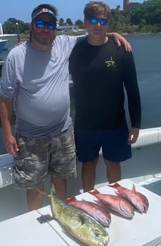 Mahi Mahi / Dorado, Red Snapper fishing in Jupiter, Florida