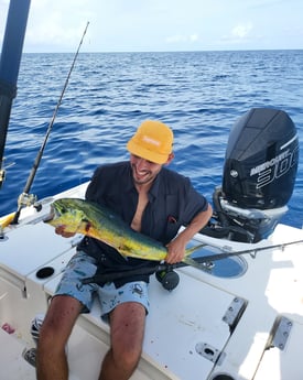 Mahi Mahi Fishing in Key Largo, Florida