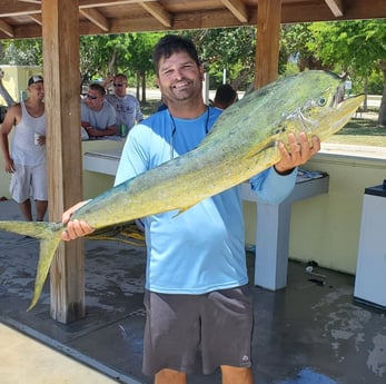 Mahi Mahi / Dorado fishing in Hillsboro Beach, Florida