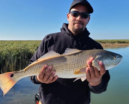 Redfish fishing in Port O&#039;Connor, Texas