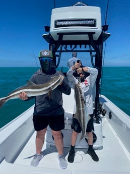 Amberjack fishing in Key West, Florida