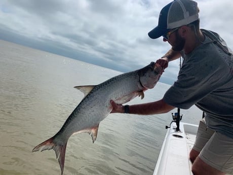 Tarpon Fishing in Key Largo, Florida