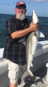 Blacktip Shark fishing in Galveston, Texas