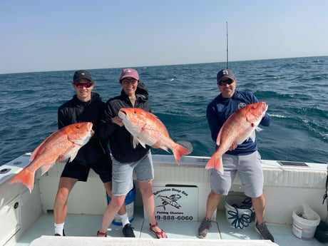 Bonnethead Shark fishing in Galveston, Texas